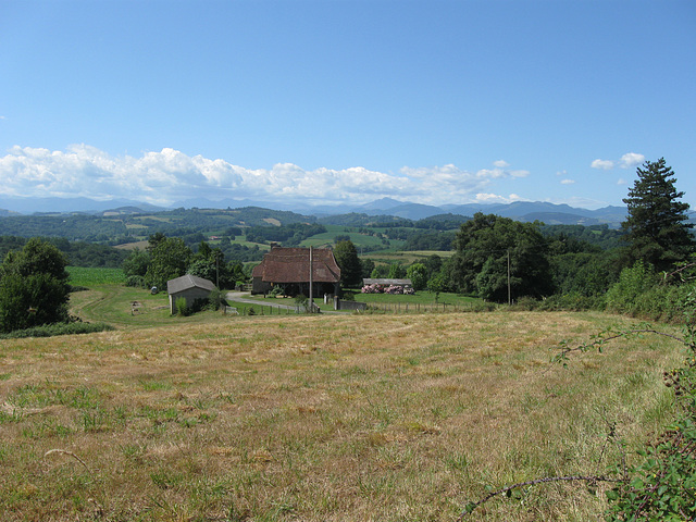 Pyrenees in the background.