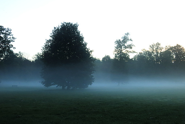 Morning Mist