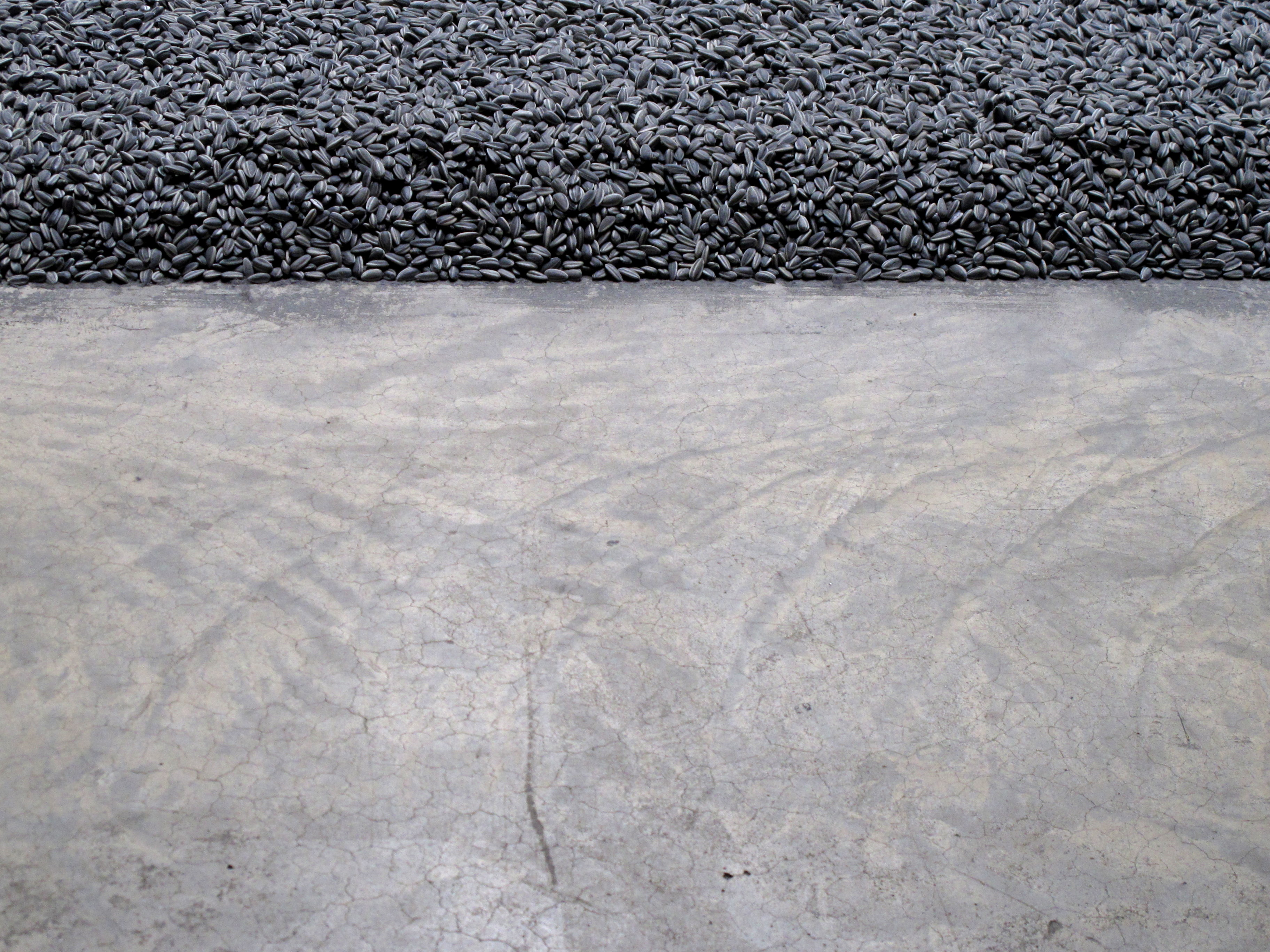 Line of Seeds