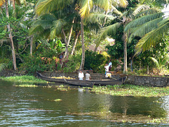 Loading Coconuts