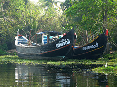 Backwater Boats
