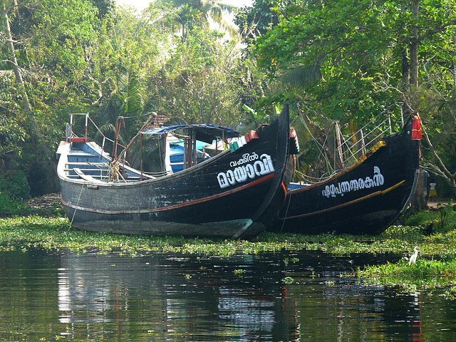 Backwater Boats