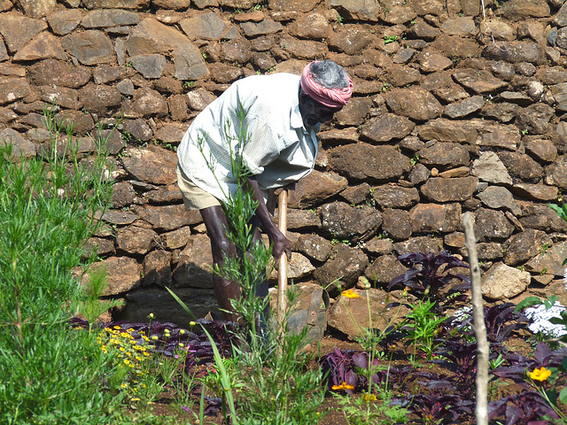 Gardener