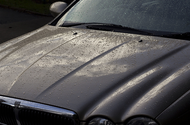 Wet Jag