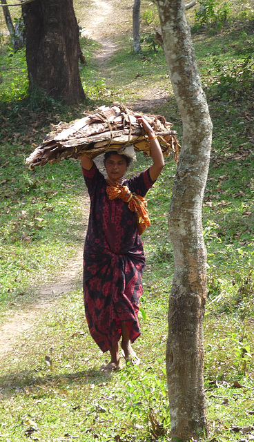 Carrying Home the Wood