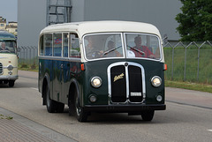 Omnibustreffen Sinsheim/Speyer 2014 074