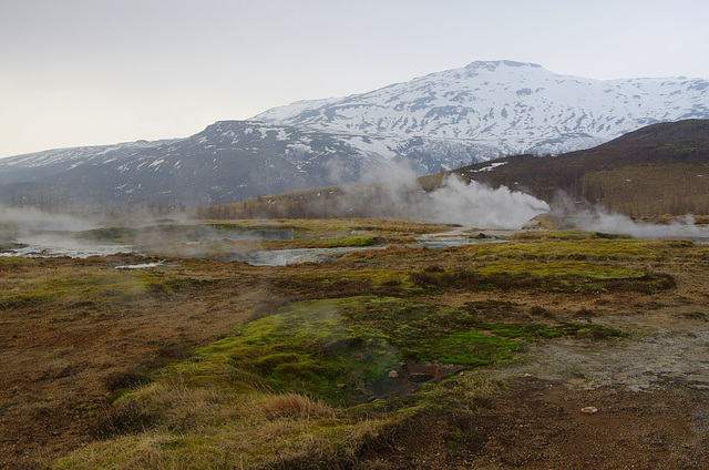 Great Steaming Landscape