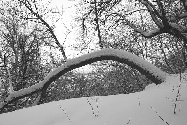 Schneebogen