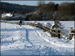 country lane in the snow