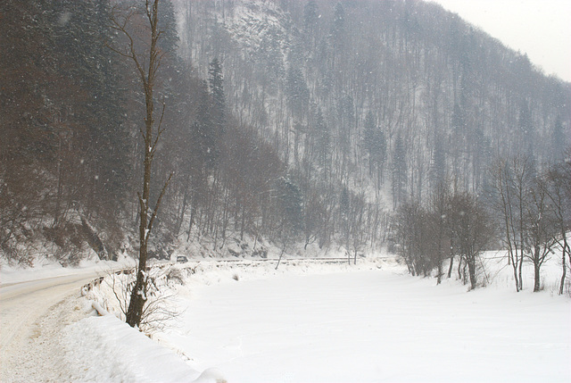 Schneefall in Karpaten Schneefall in Karpaten