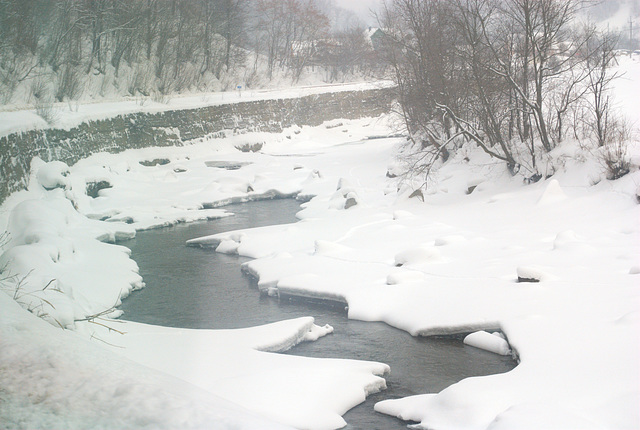 Schwarze Theiß im Winter