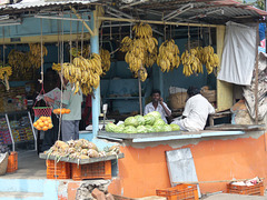 Bananas for Sale