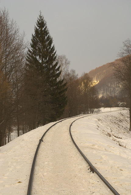 die Eisenbahn in Jaremtsche