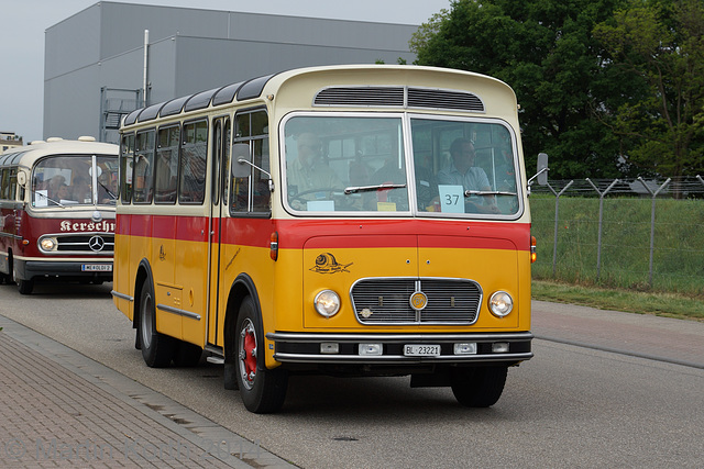 Omnibustreffen Sinsheim/Speyer 2014 134