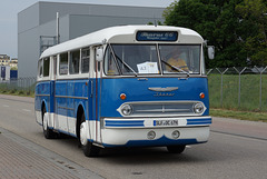 Omnibustreffen Sinsheim/Speyer 2014 162