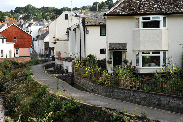 Lyme Regis 193