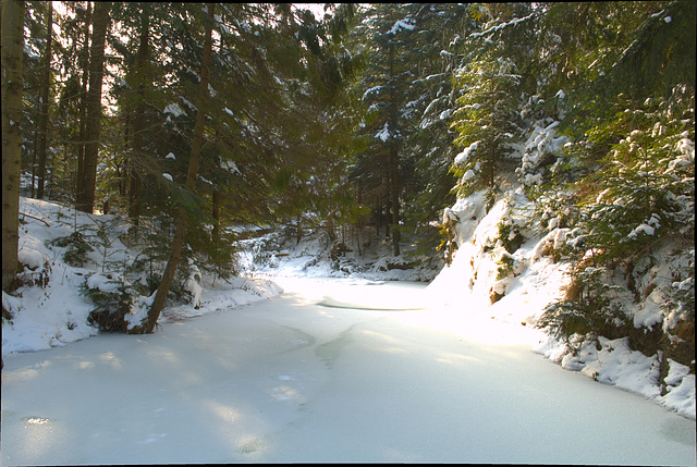 ein Wald und zugefriertener Fluss in Manjawa