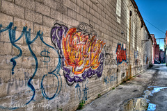 Ybor City Alley - Tampa - HDR