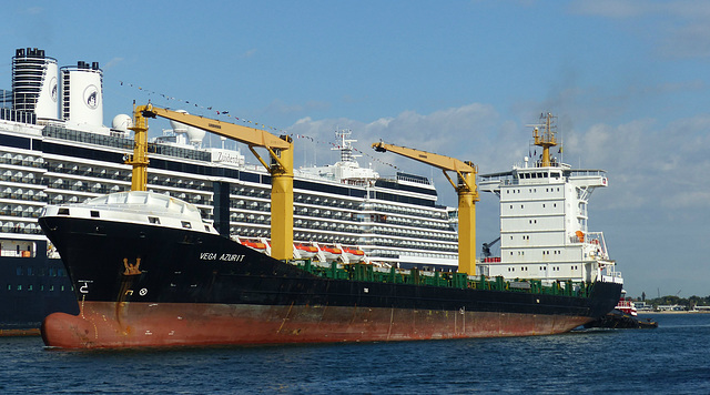 Vega Azurit at Port Everglades - 24 January 2014