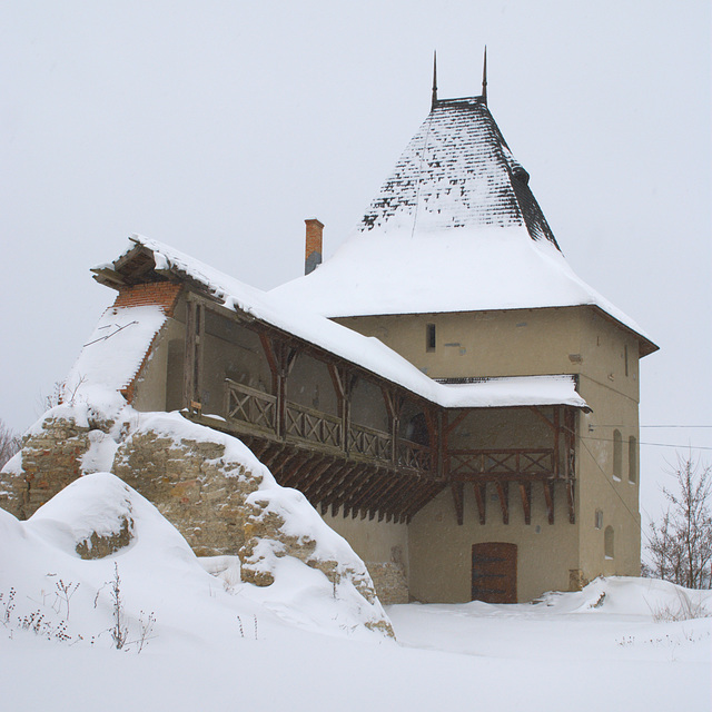 Burg Halitsch