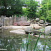 Nilpferd-Außenanlage im Zoo Karlsruhe