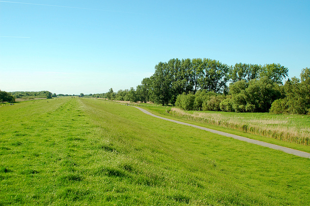 Radtour an der Elbe lang