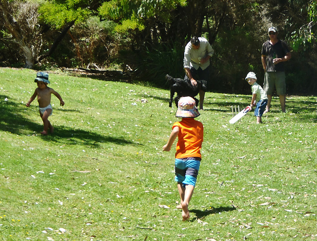 Australia Day 2014 at Waratah