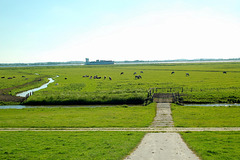 Radtour an der Elbe lang