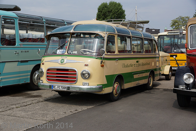 Omnibustreffen Sinsheim/Speyer 2014 250