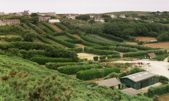 Small fields with high hedges