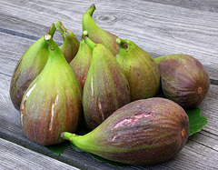 9 big figs