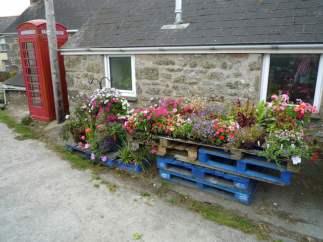 Half of the island's phone boxes