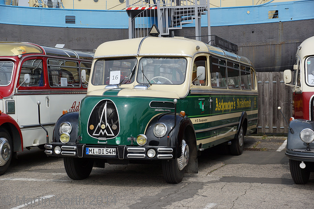 Omnibustreffen Sinsheim/Speyer 2014 274