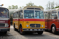 Omnibustreffen Sinsheim/Speyer 2014 288