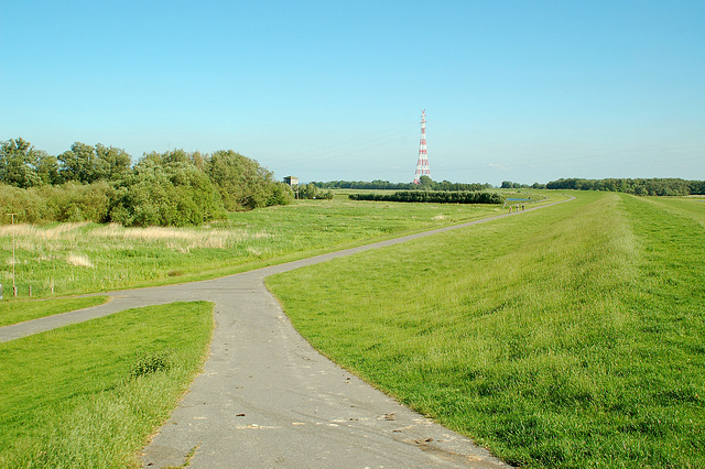 Radtour an der Elbe lang