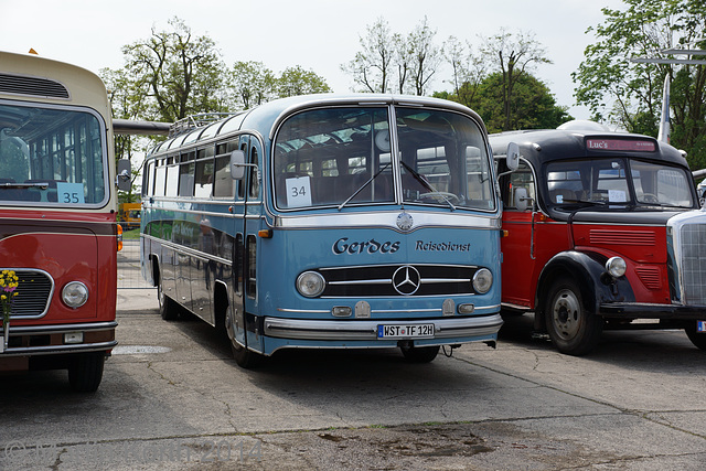 Omnibustreffen Sinsheim/Speyer 2014 297