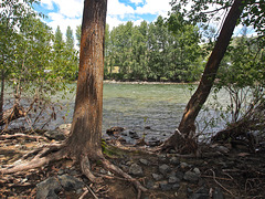 Similkameen River, Princeton, BC