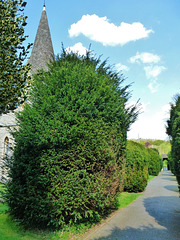 waterford church, herts.