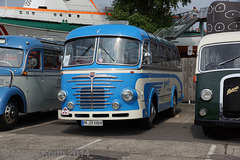 Omnibustreffen Sinsheim/Speyer 2014 305