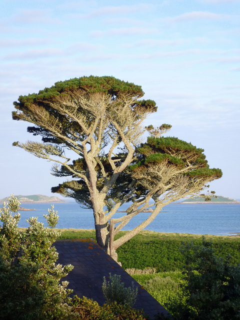 View from the pub