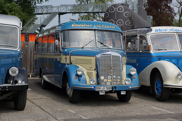 Omnibustreffen Sinsheim/Speyer 2014 316