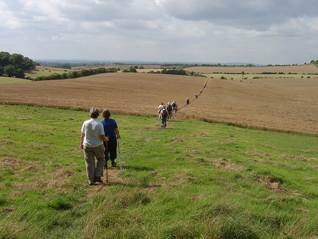 Buckinghamshire View