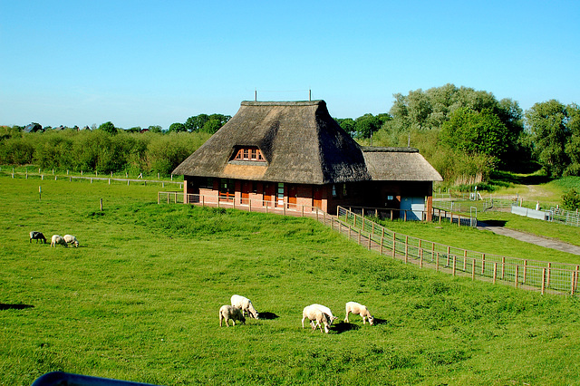 Radtour an der Elbe lang