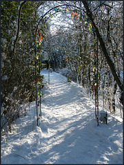 snowy path to the Perch