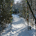 snowy path to the Perch