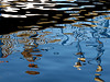 Grand Union Canal Reflection 8