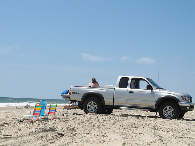 "A Day at the Beach"