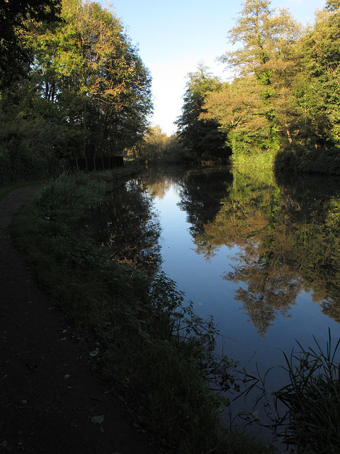 River Wey