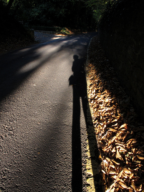 Long Shadow