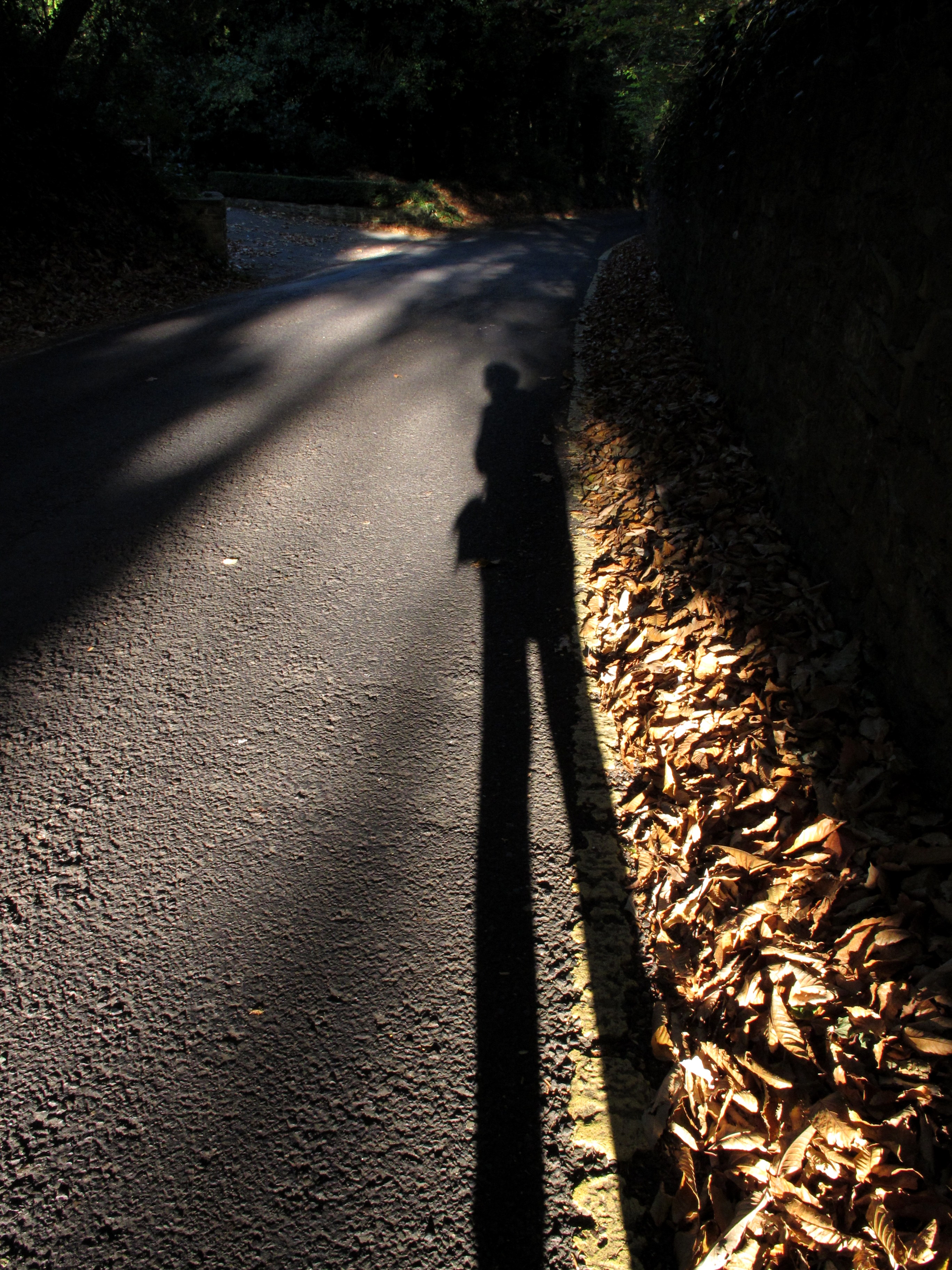 Long Shadow